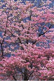 微软Q1财报：游戏业务创收36.1亿美元 打破新纪录